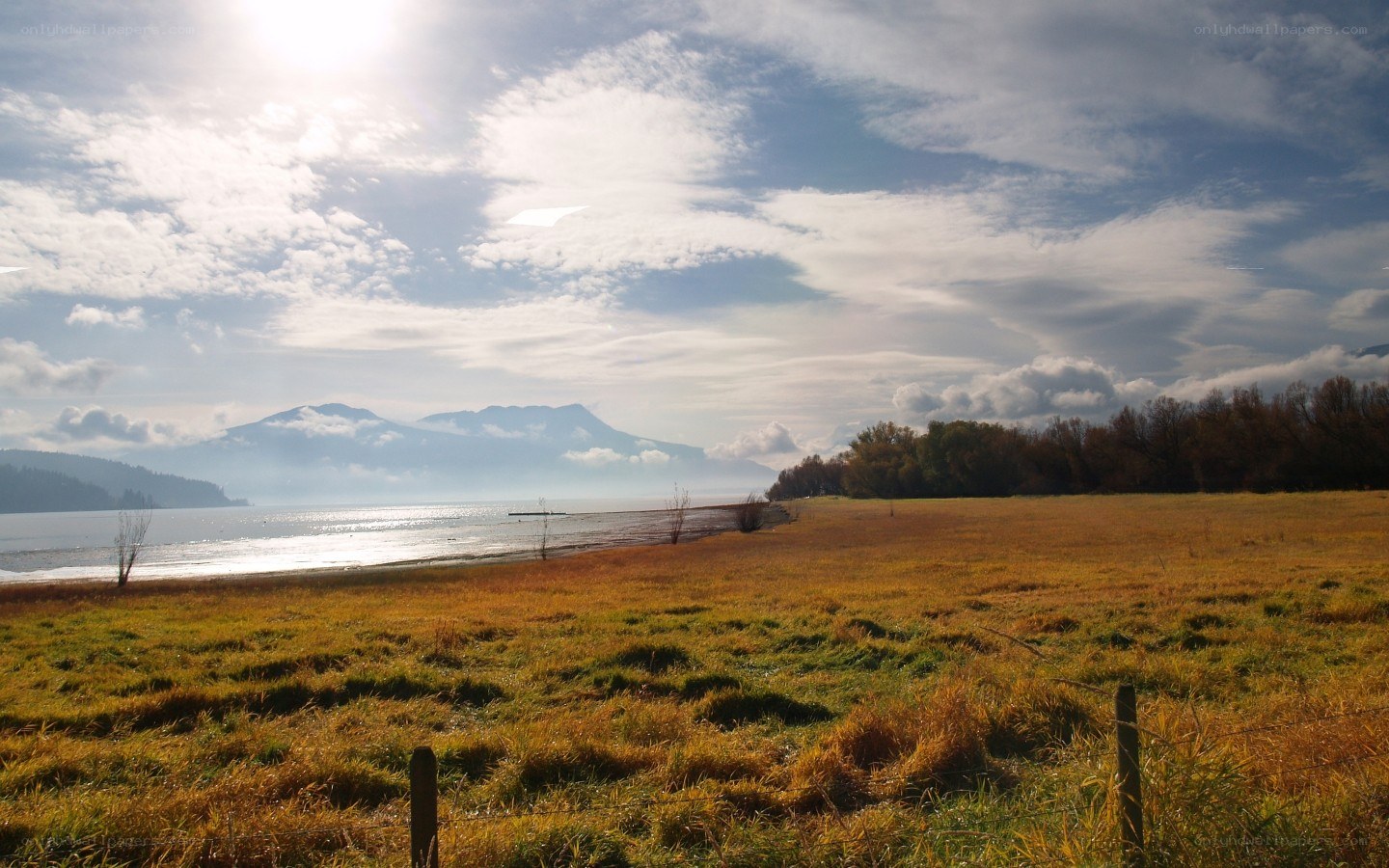 Lakeside field with mountains