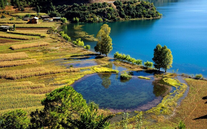 Lakeside fields and trees