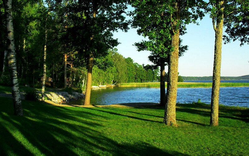 Lakeside forest at sunset