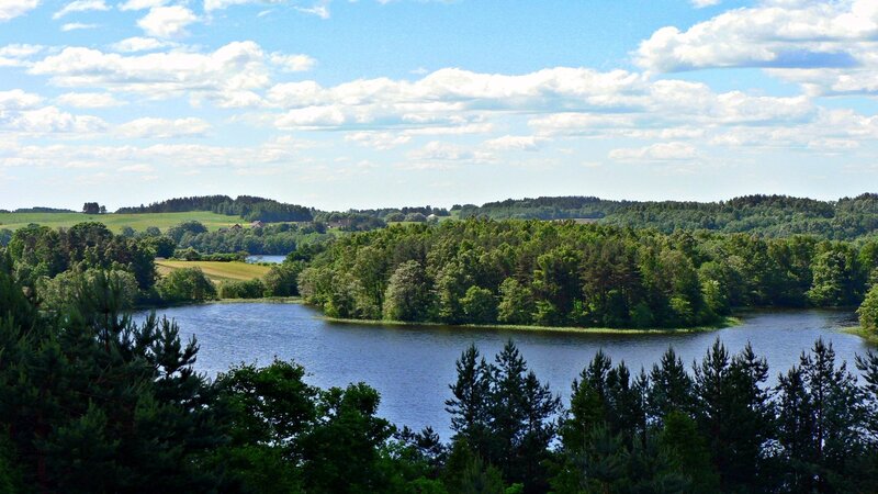 Lakeside forest landscape