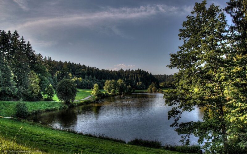 Lakeside forest landscape