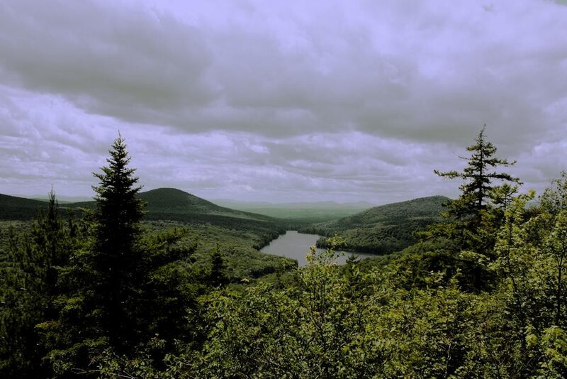 Lakeside forest valley view