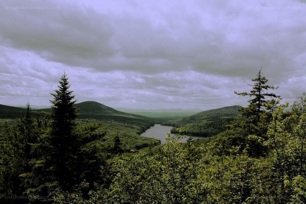 Lakeside forest valley view