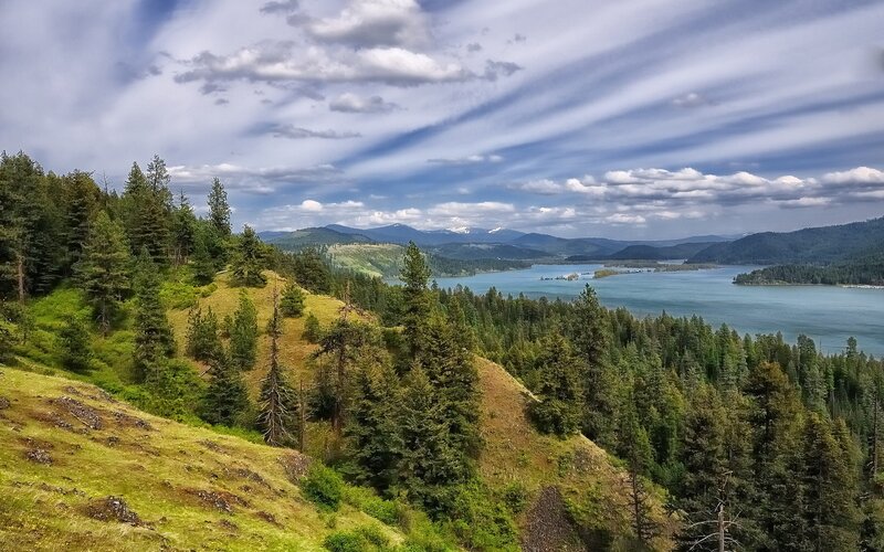 Lakeside forest view