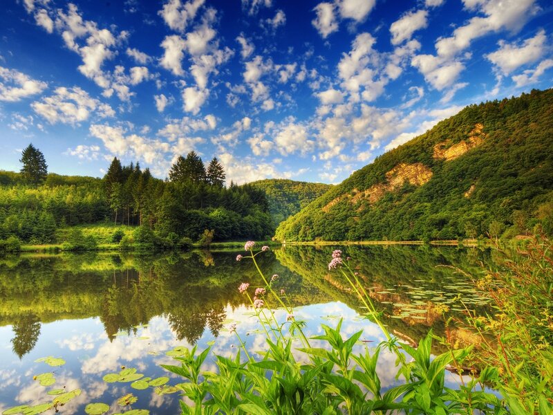 Lakeside forest with cloudy sky