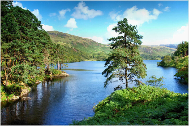 Lakeside forest with hills