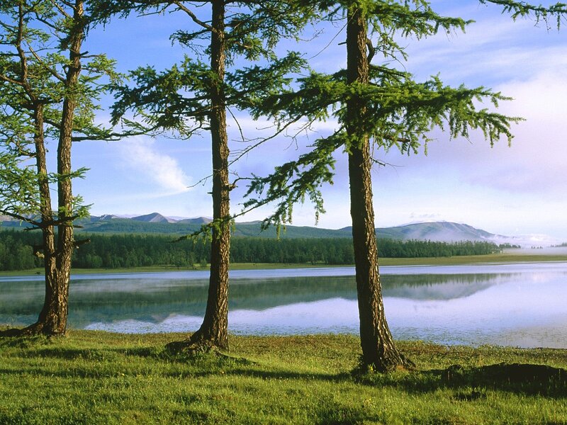 Lakeside forest with mountains
