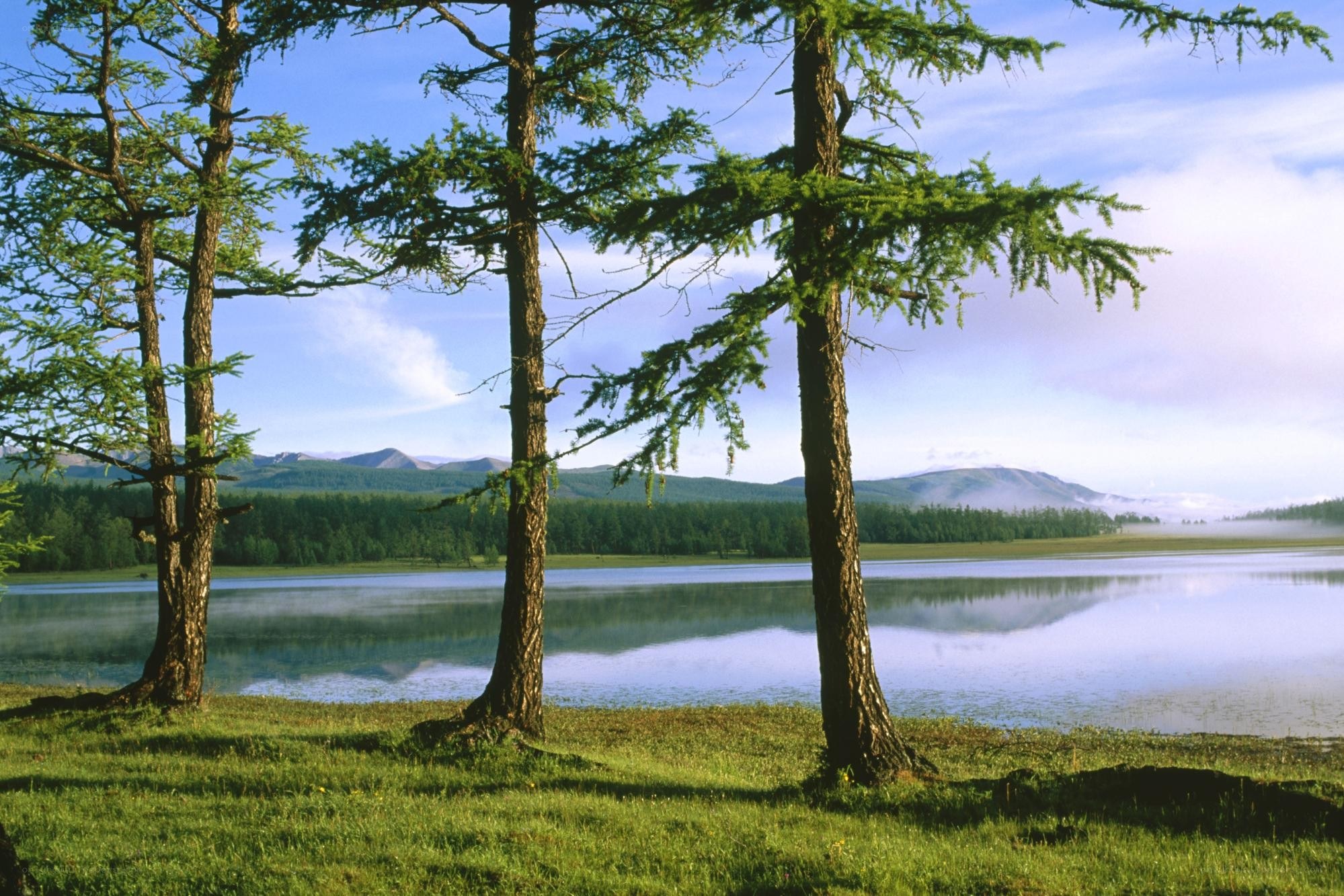 Lakeside forest with mountains