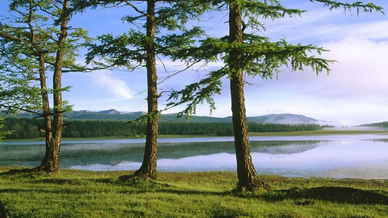 Lakeside forest with mountains
