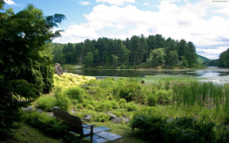 Lakeside garden with bench