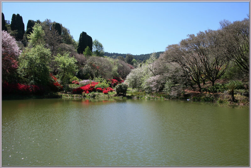 Lakeside garden with colorful flowers