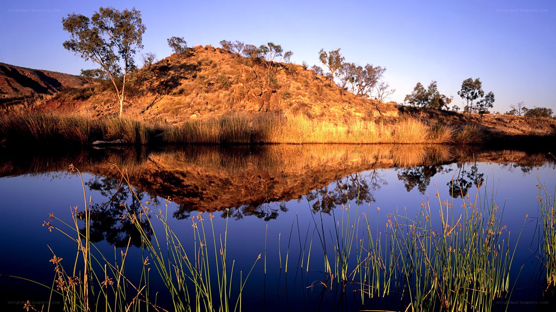 Lakeside hill at sunset