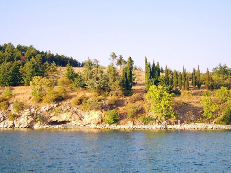 Lakeside hill with cypress trees