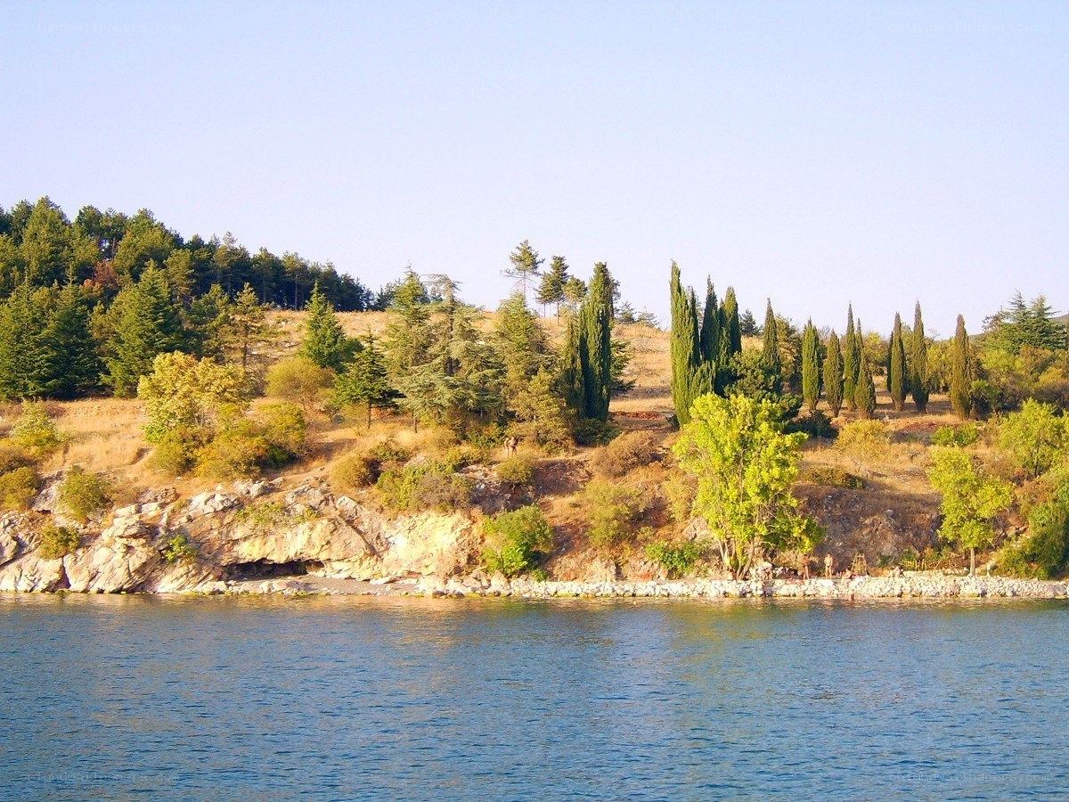 Lakeside hill with cypress trees