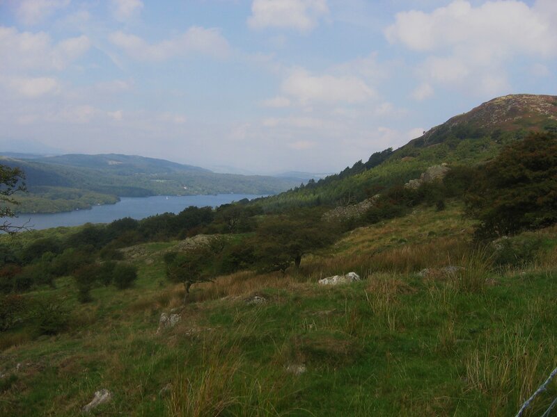 Lakeside hillside view