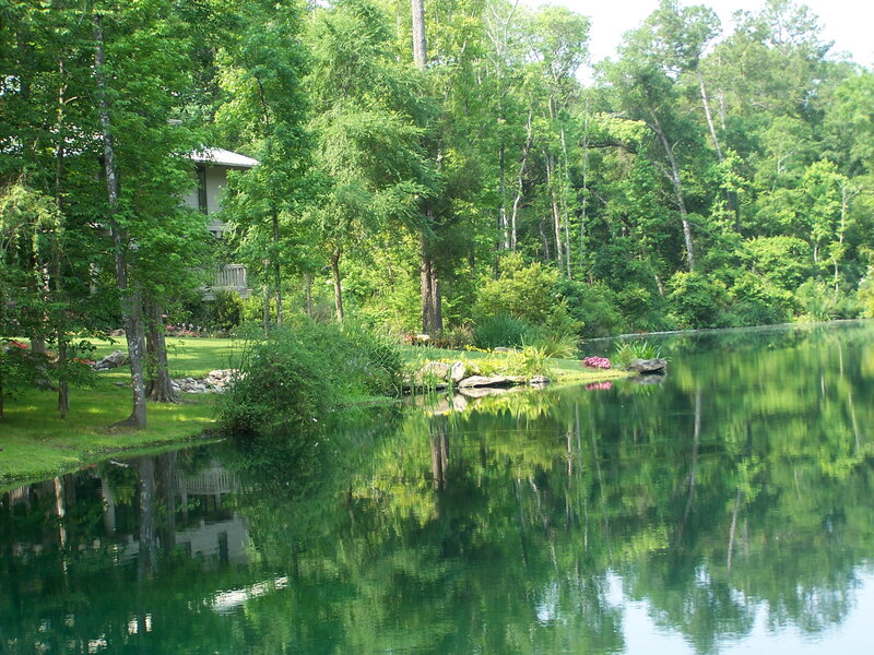 Lakeside house with lush greenery