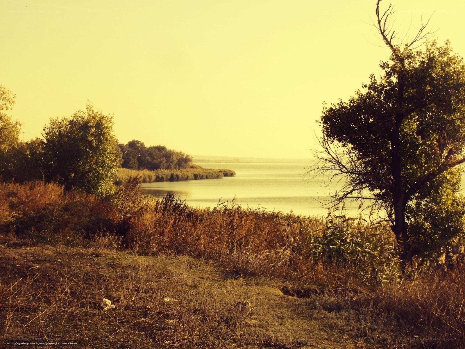 Lakeside landscape at golden hour