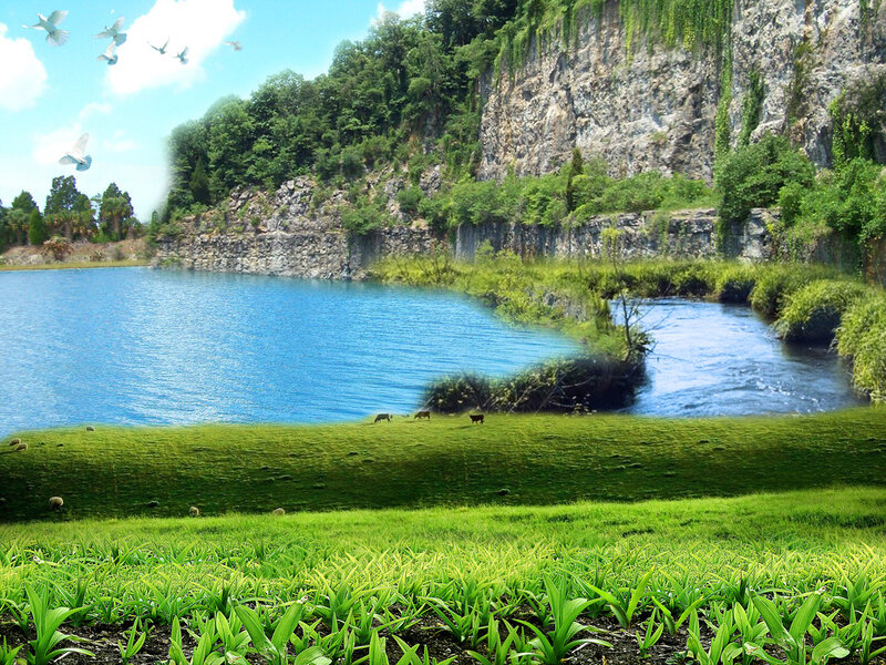 Lakeside landscape with birds