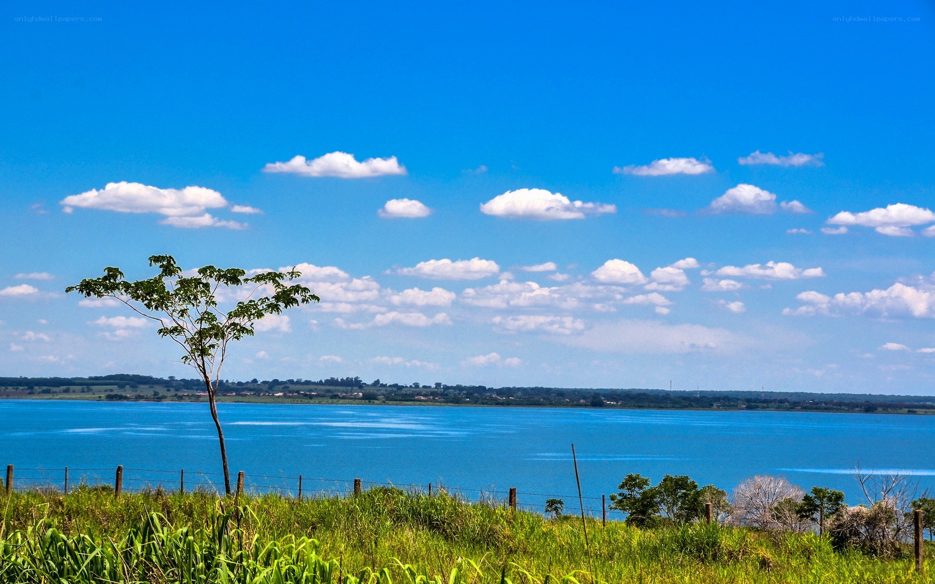 Lakeside landscape with blue sky