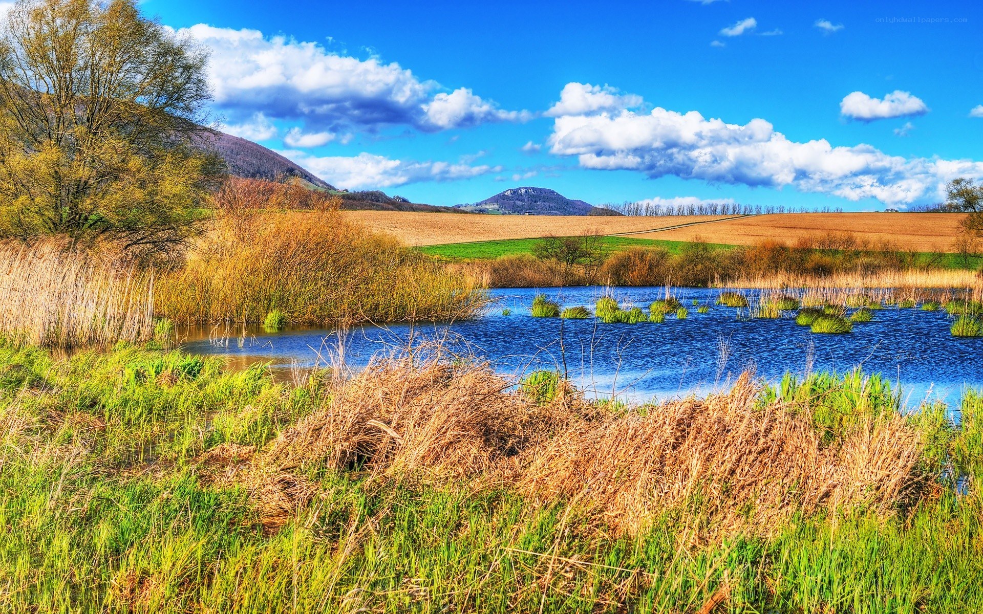 Lakeside landscape with hills