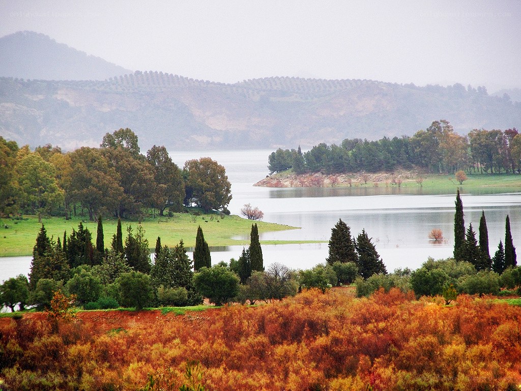 Lakeside landscape with hills
