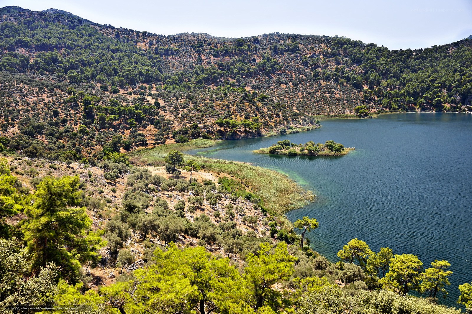Lakeside landscape with hills