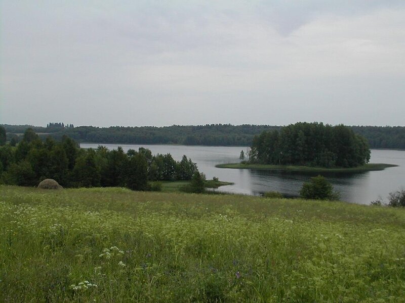 Lakeside landscape with island