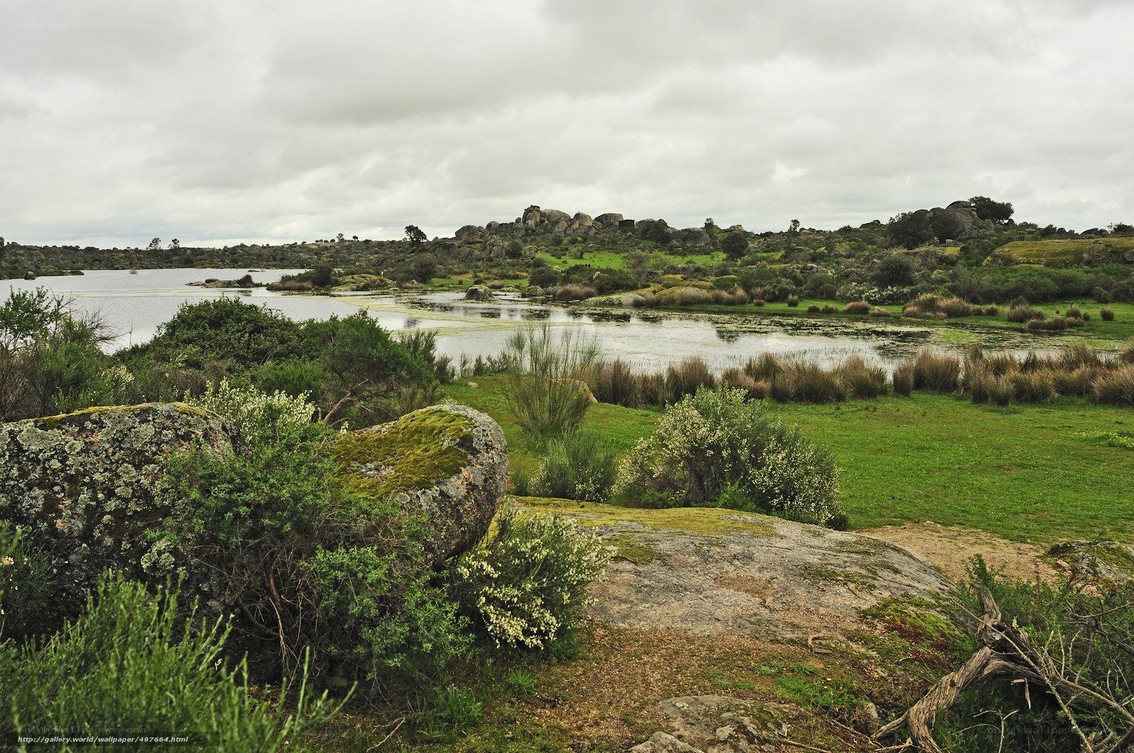 Lakeside landscape with mossy rocks