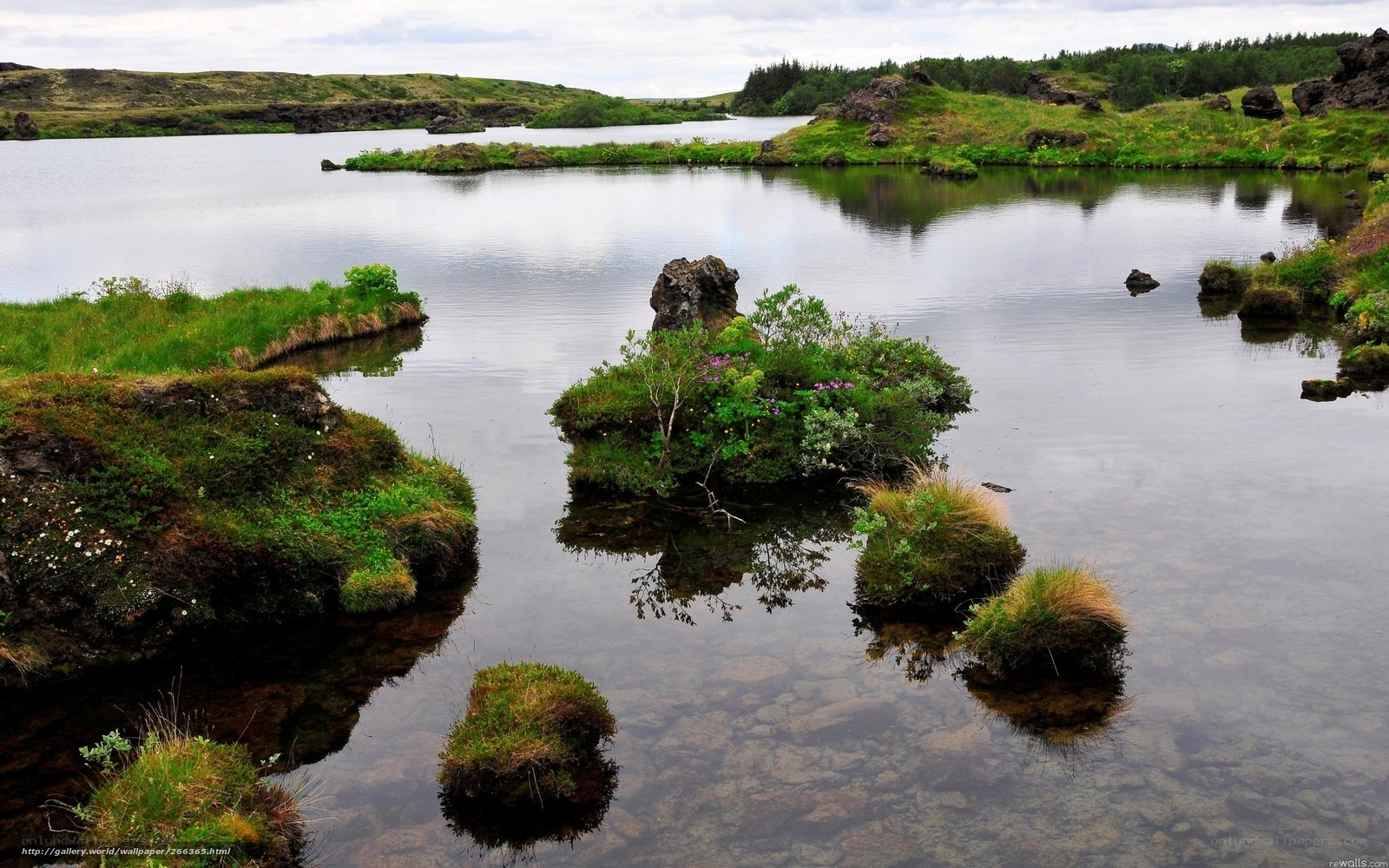 Lakeside landscape with mossy rocks