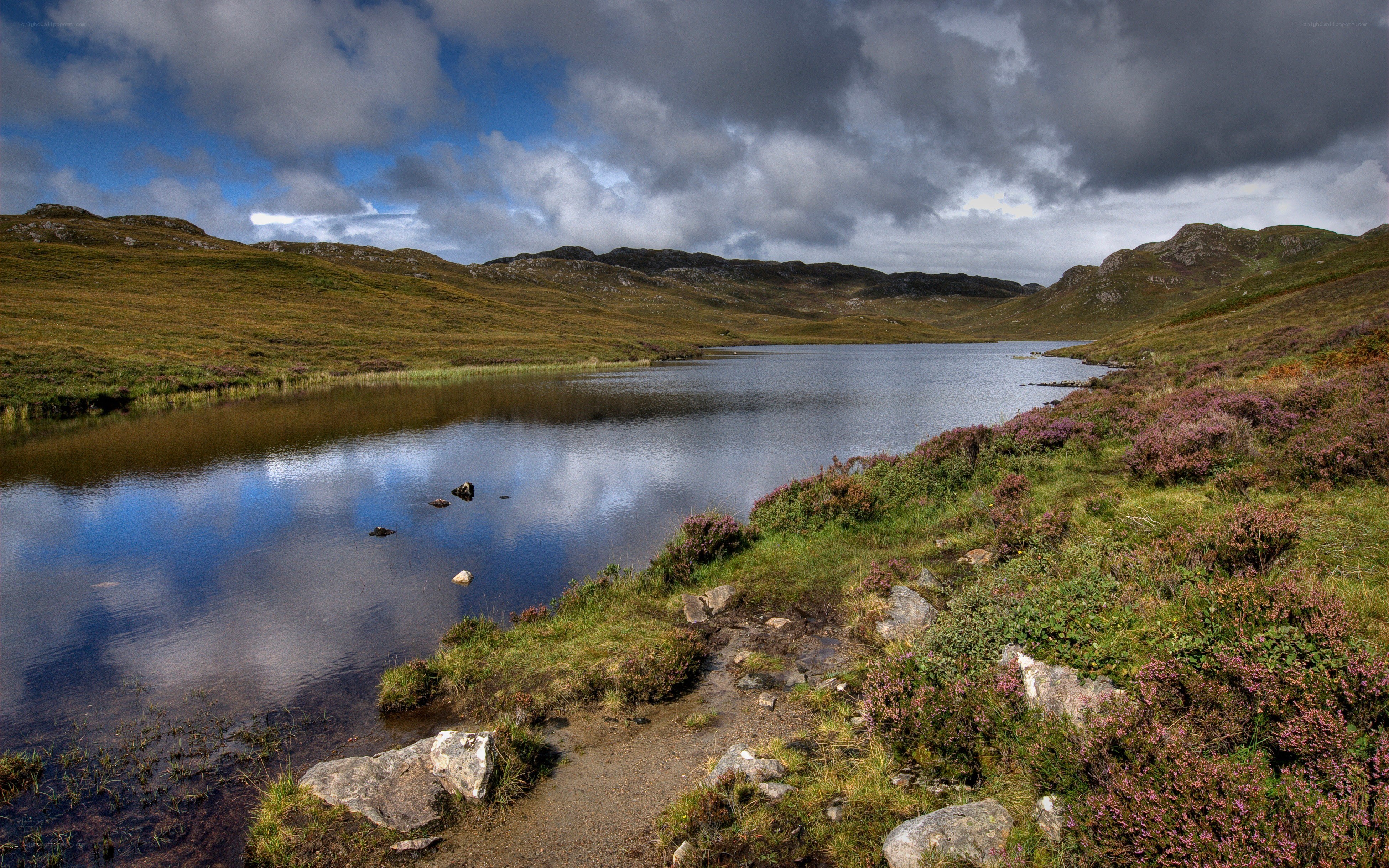 Lakeside landscape with purple heather