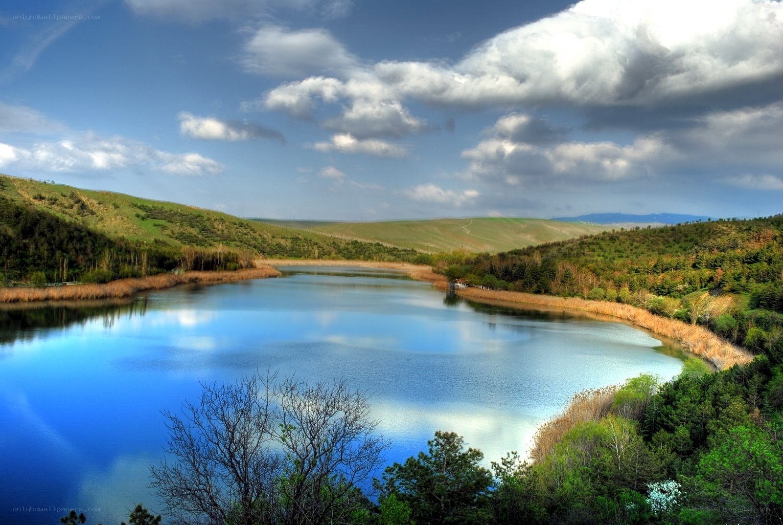 Lakeside landscape with rolling hills