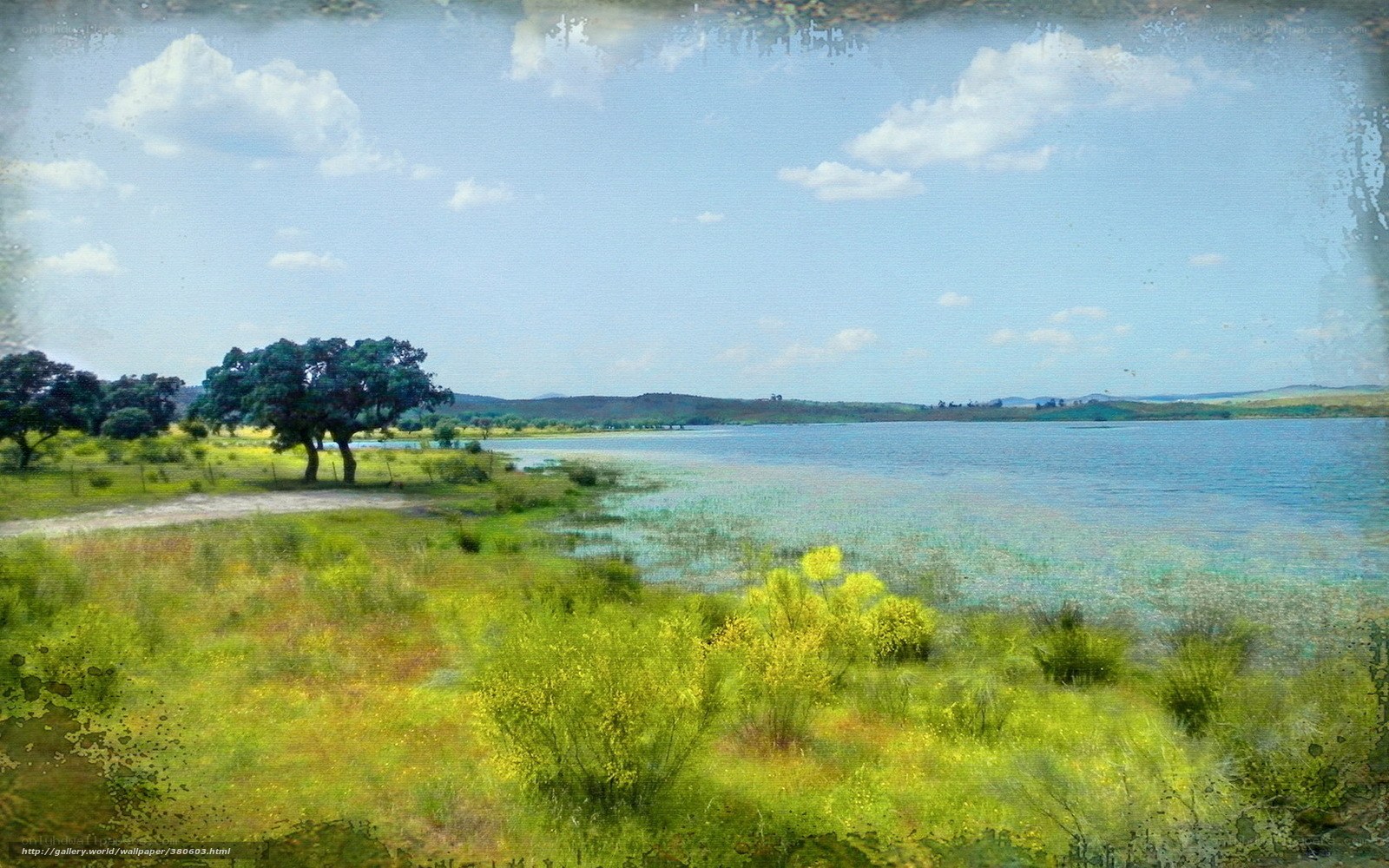 Lakeside landscape with trees
