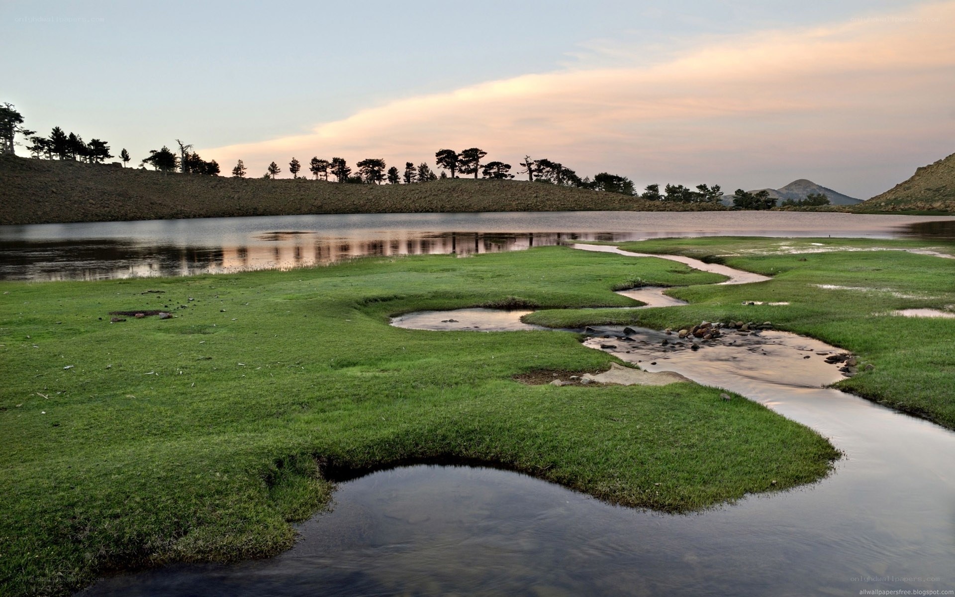 Lakeside meadow at dusk