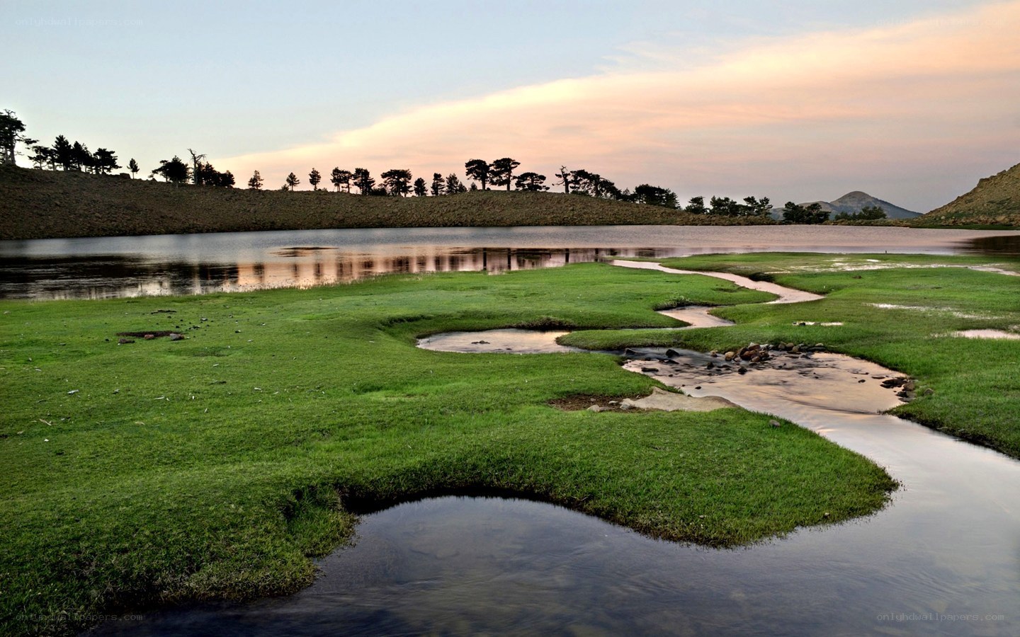 Lakeside meadow at dusk