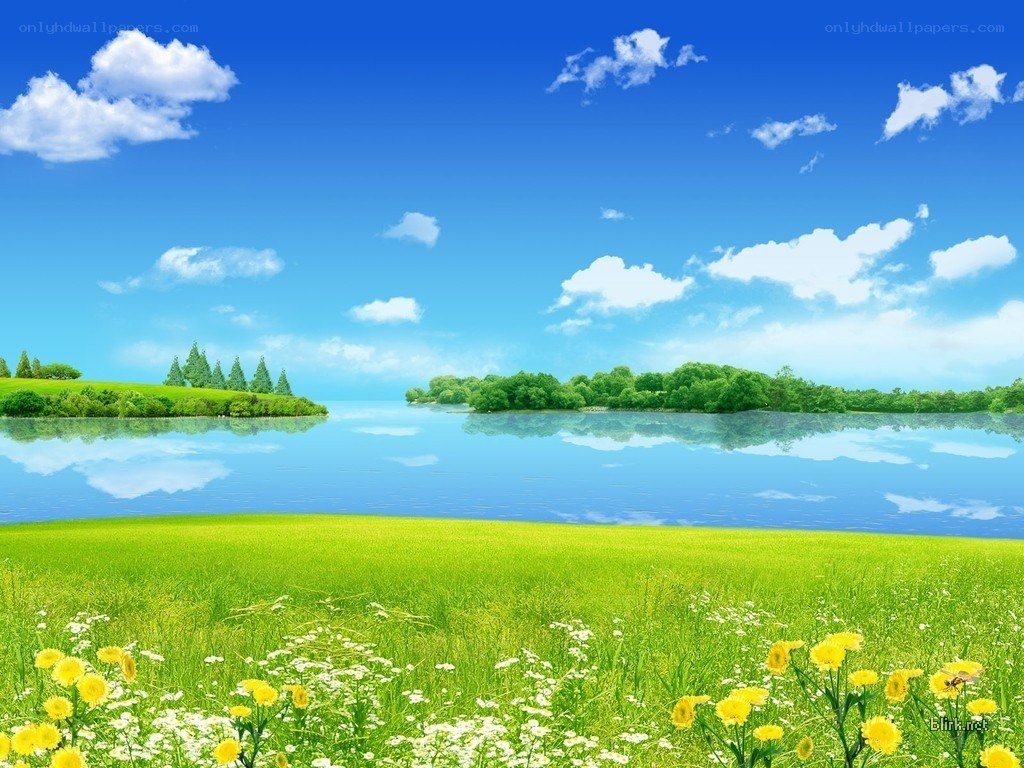 Lakeside meadow with flowers
