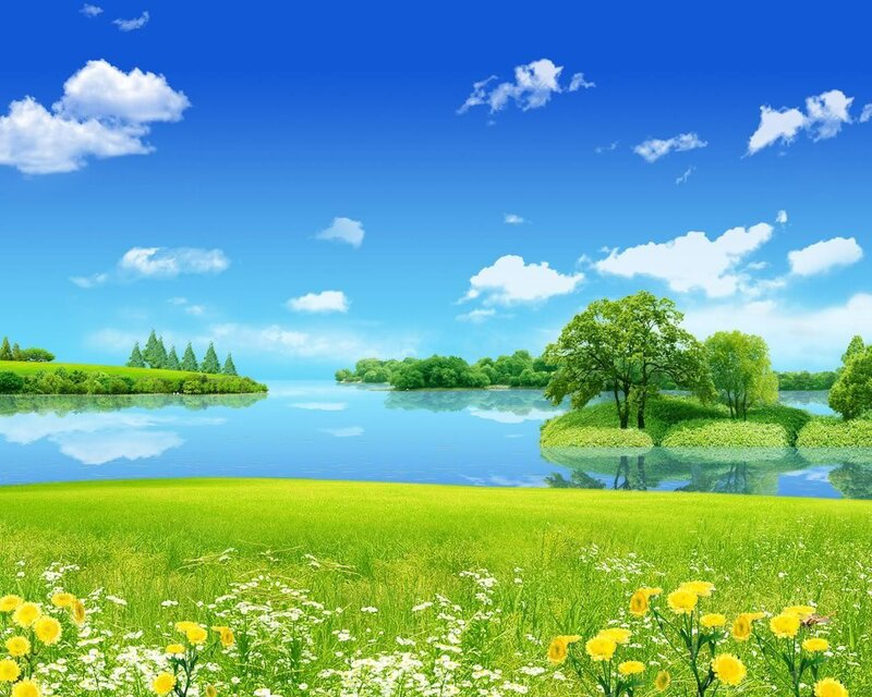 Lakeside meadow with flowers