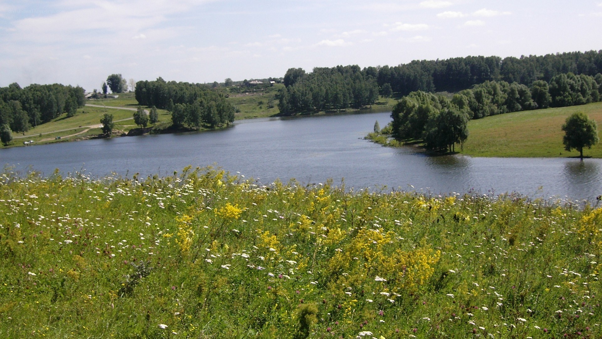 Lakeside meadow with wildflowers