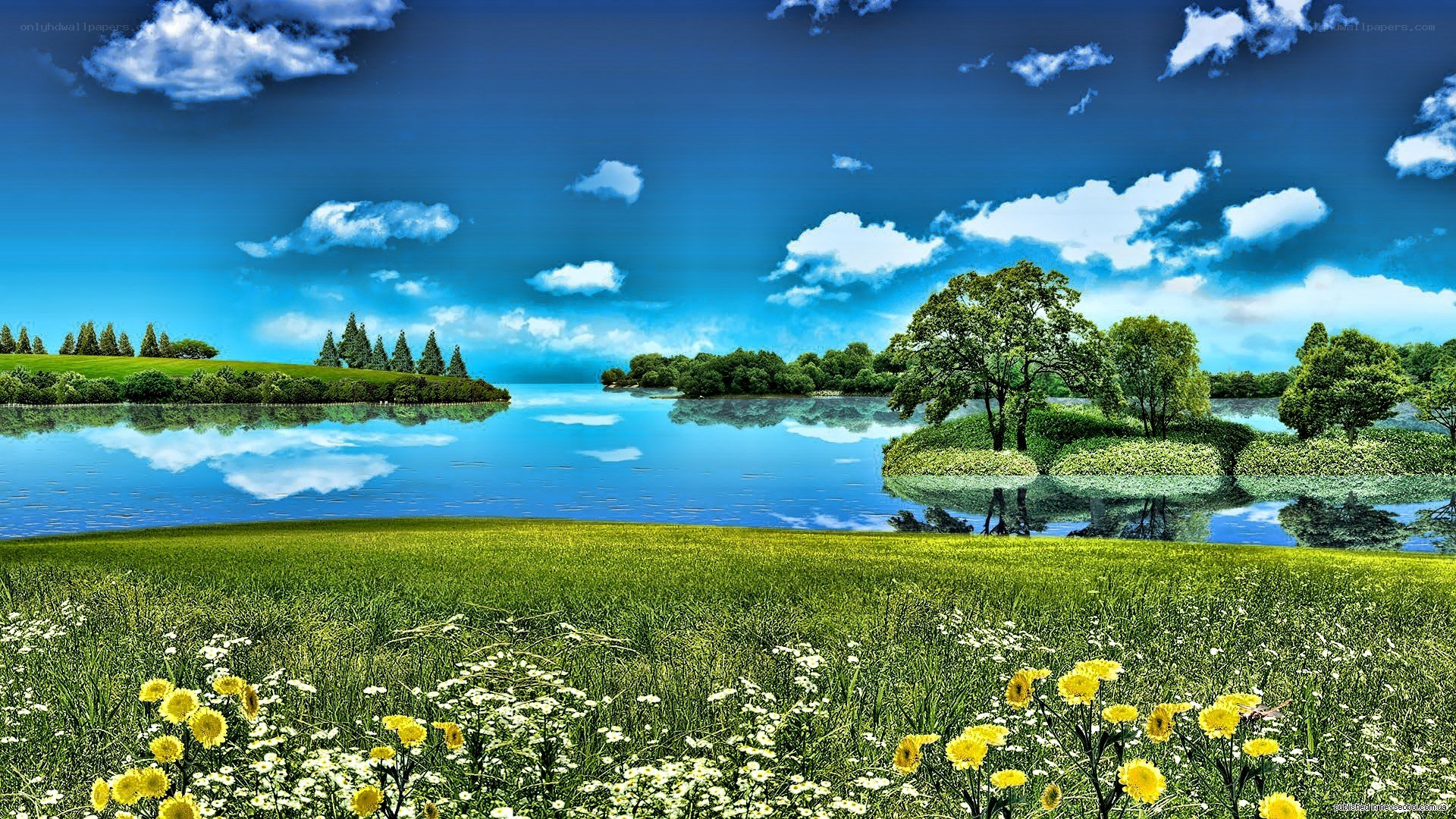 Lakeside meadow with wildflowers