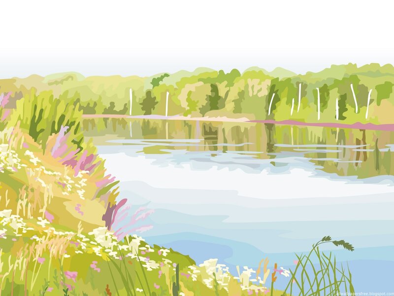 Lakeside meadow with wildflowers