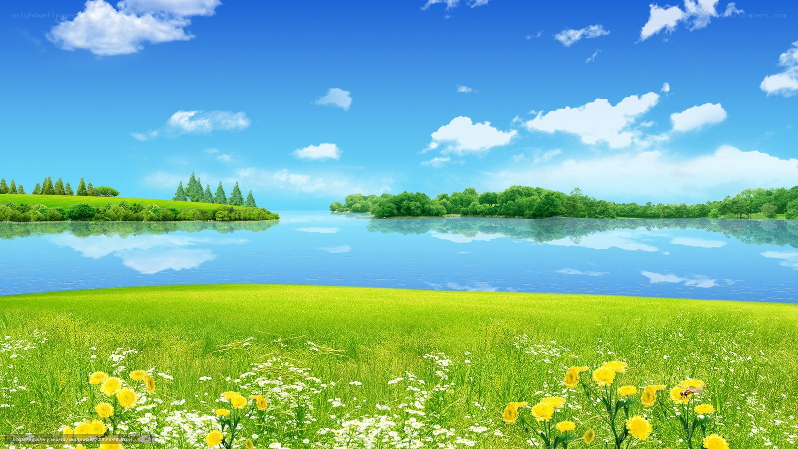 Lakeside meadow with wildflowers