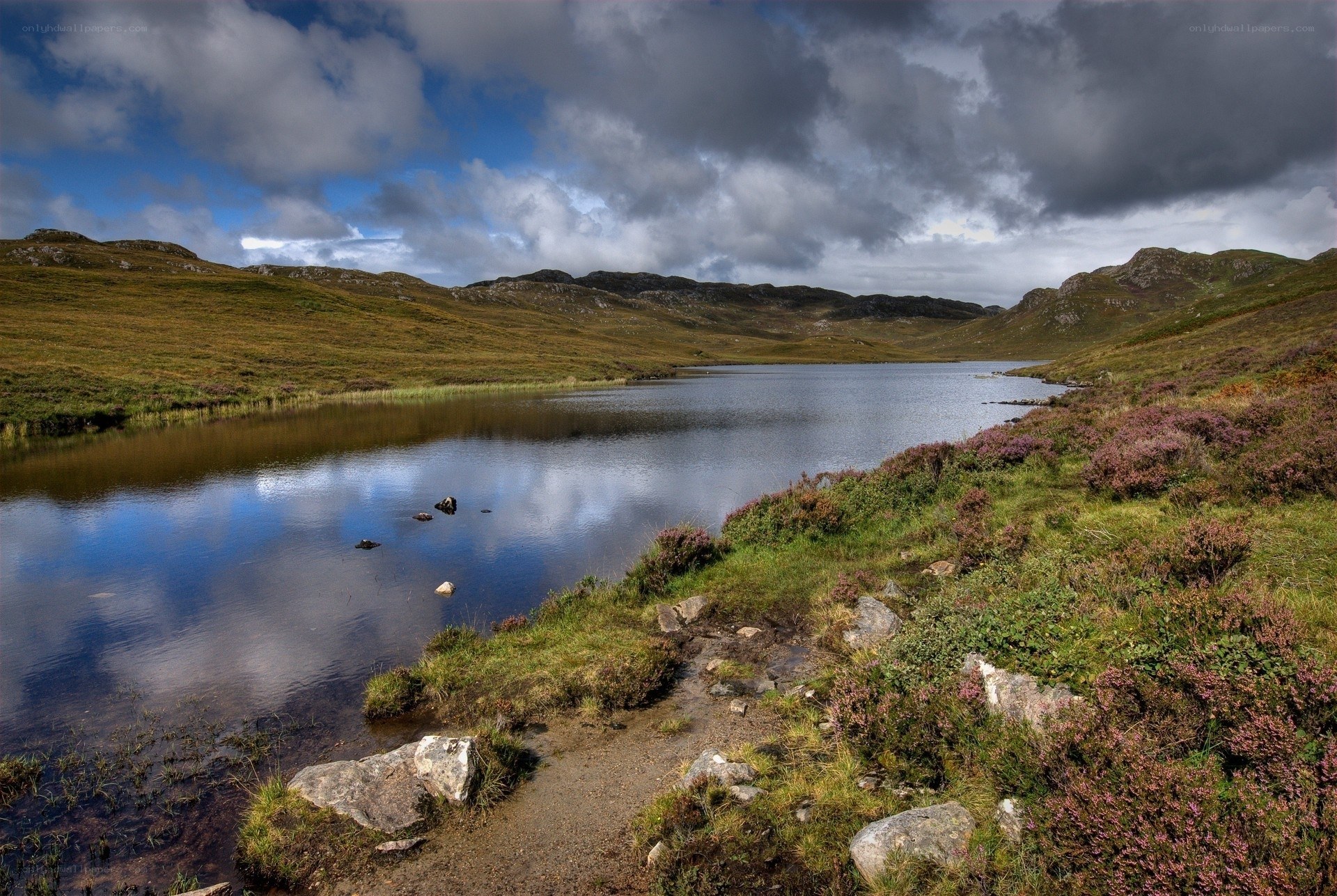Lakeside moorland with purple heather
