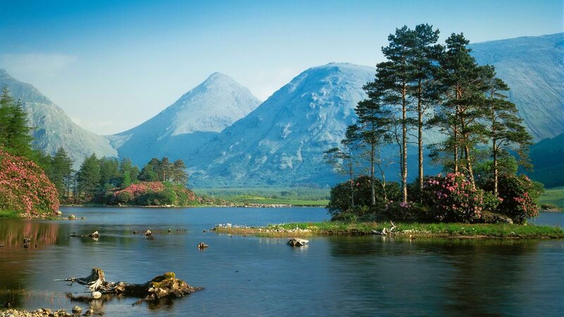 Lakeside mountains with blooming shrubs
