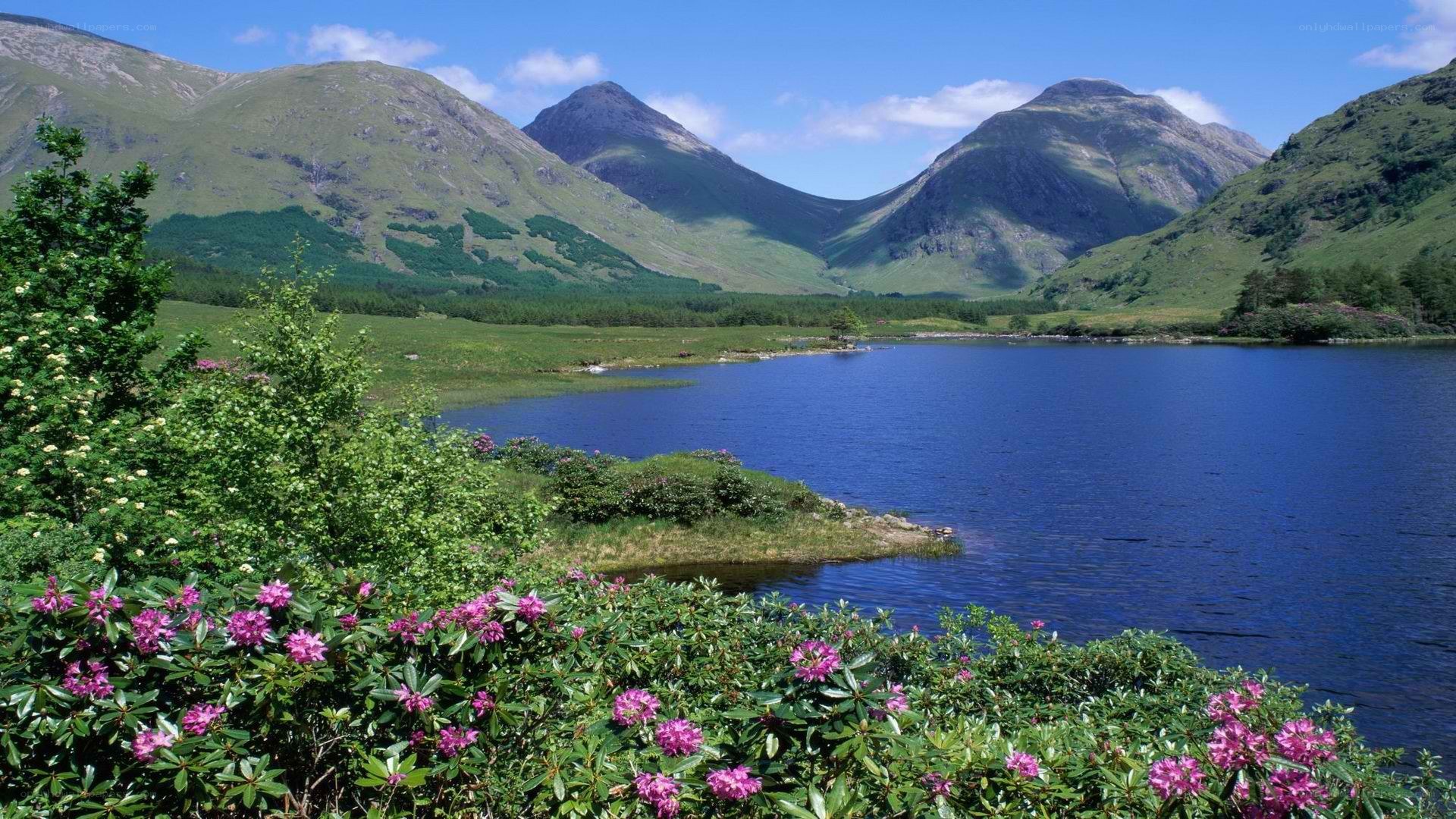 Lakeside mountains with flowers