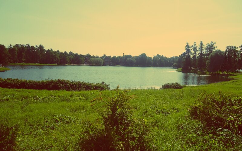 Lakeside park view