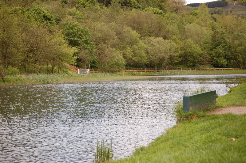 Lakeside park with green bench