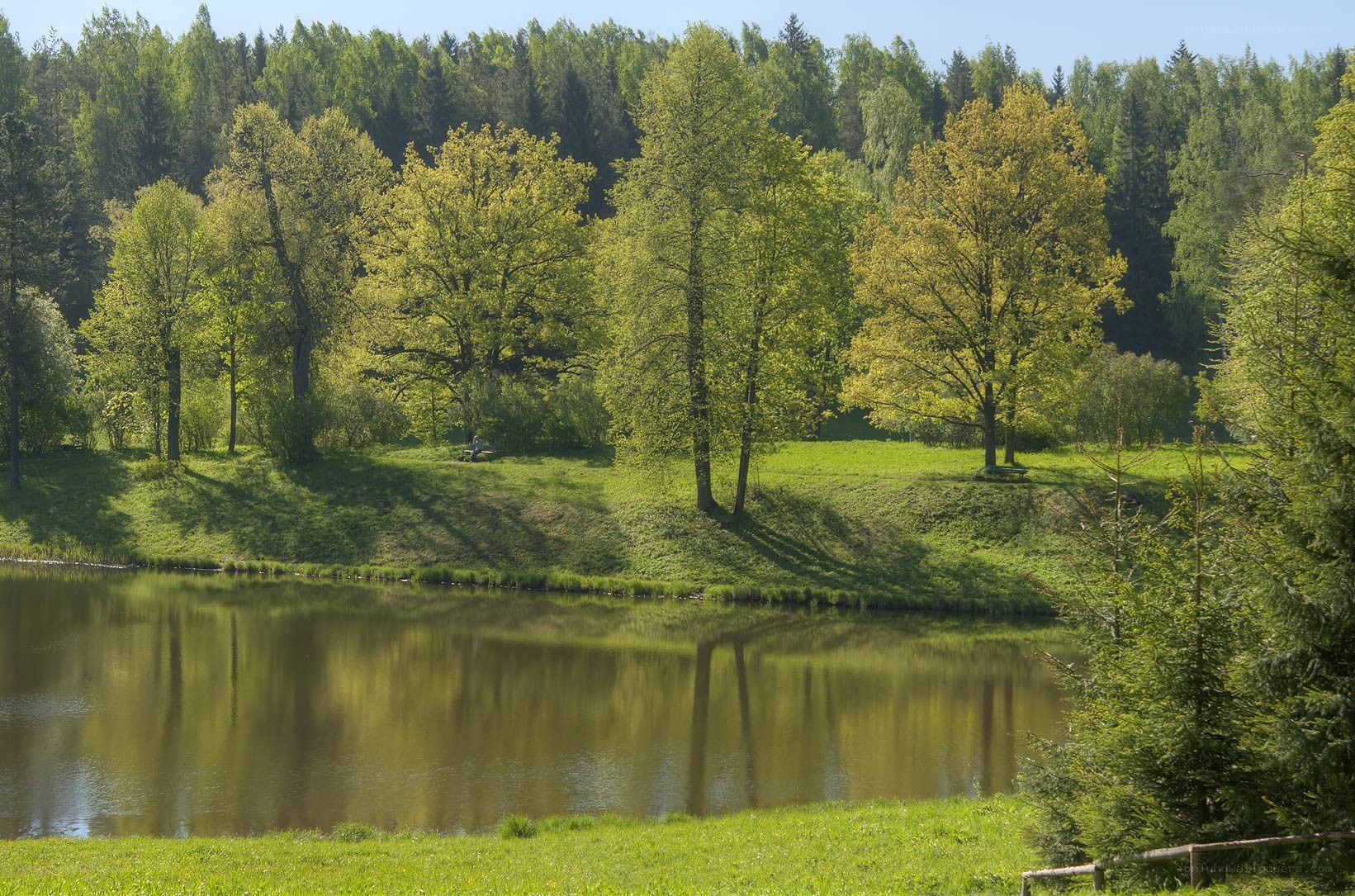 Lakeside park with trees