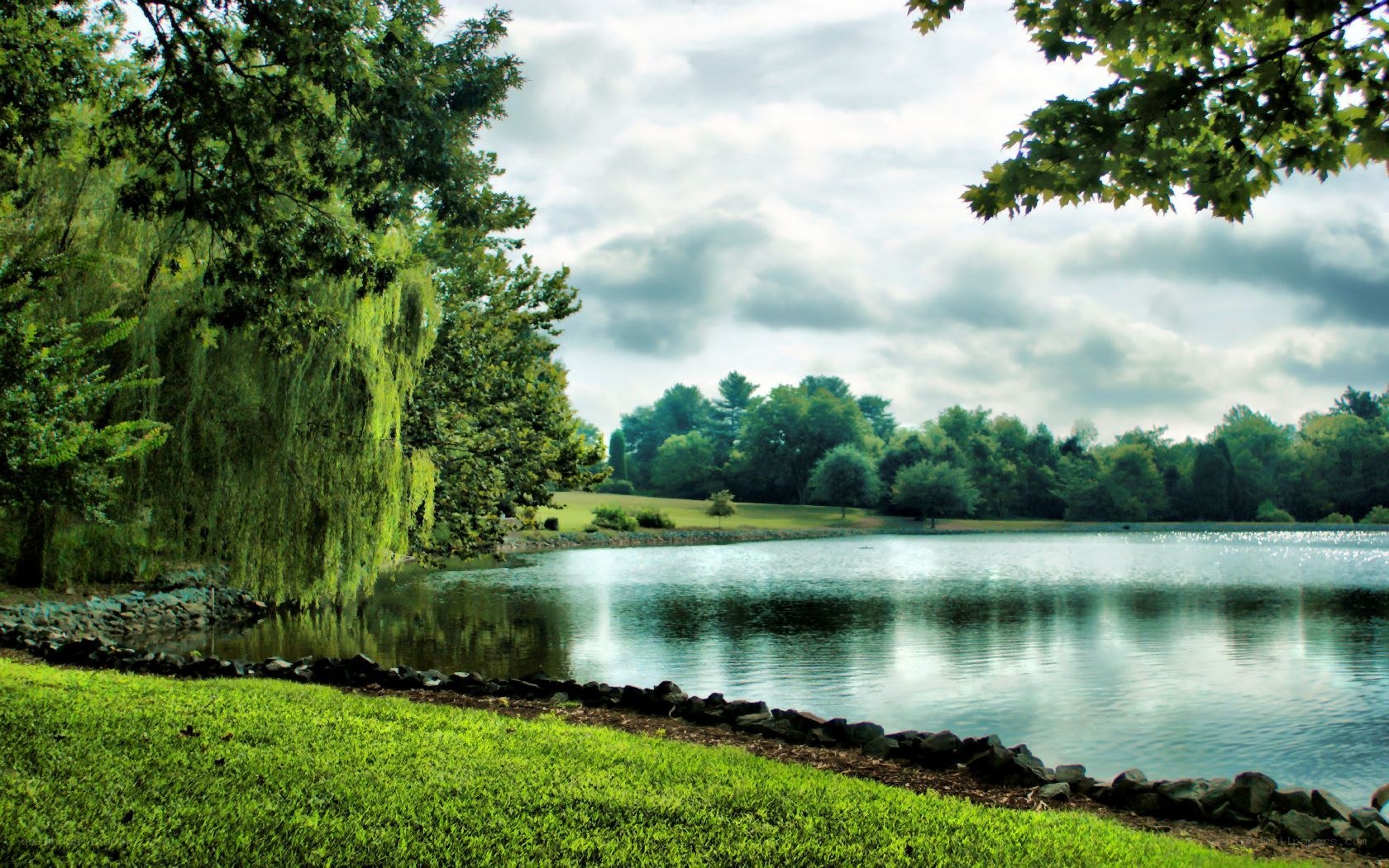 Lakeside park with willow tree