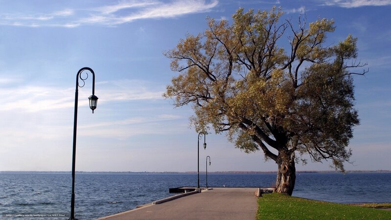 Lakeside path with tree and lamp
