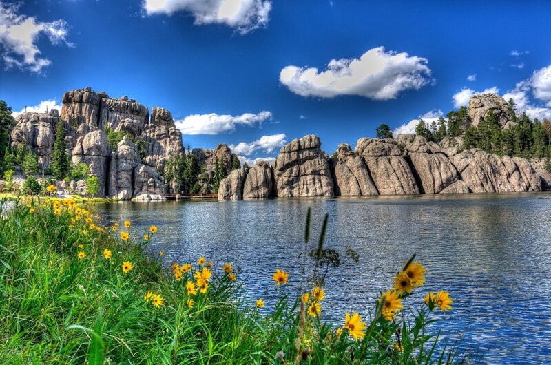Lakeside rocks and wildflowers