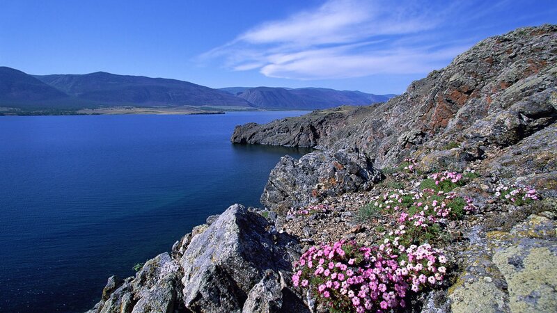 Lakeside rocks with pink flowers